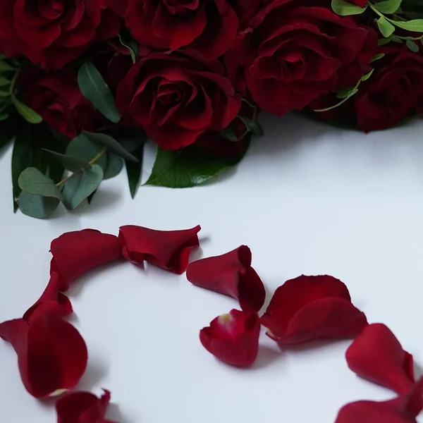 PG网赌捕鱼游戏