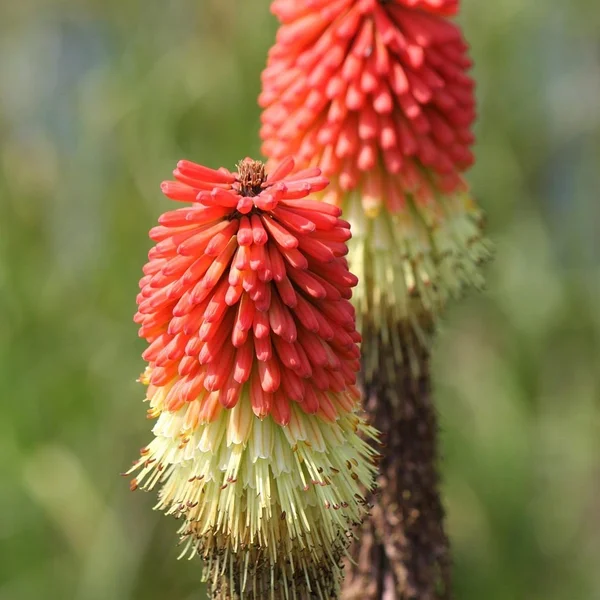 PG网赌棋牌游戏